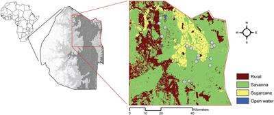 Savanna Rodents’ Selective Removal of an Encroaching Plant’s Seeds Increased With Grass Biomass